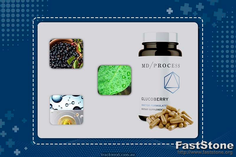 GlucoBerry Ingredients