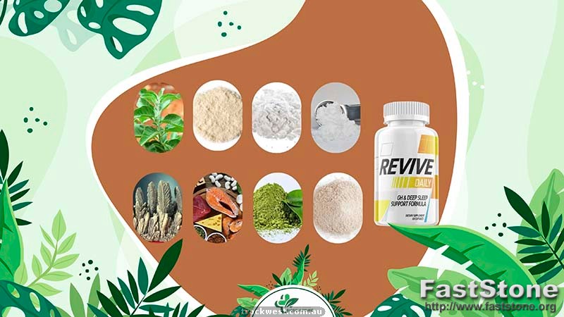 Ingredients Found in Revive Daily's Formula